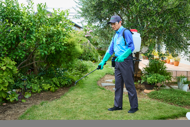 芝生の定期管理