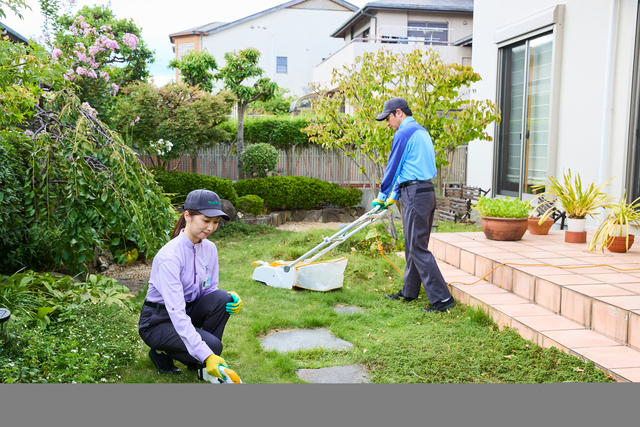 芝生の定期管理