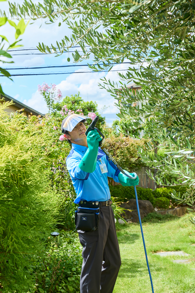 樹木の定期管理
