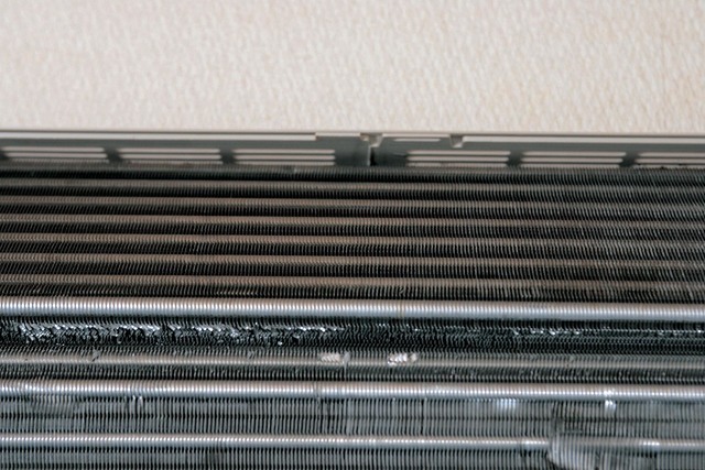 抗菌・防カビ処理